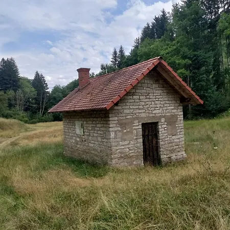 Apartment Zum Utzen *